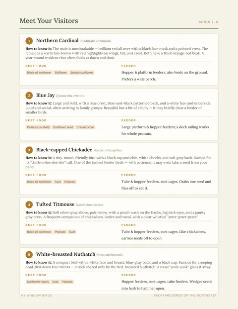 Guide page with five bird cards, each listing how to know the bird, its best foods, and its preferred feeder