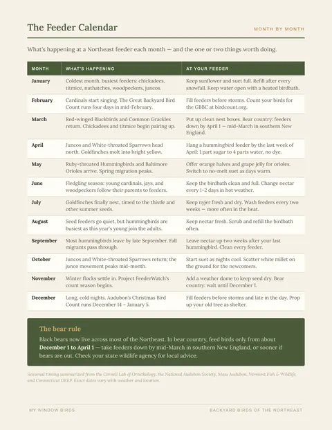 Month-by-month feeder calendar page with what is happening at Northeast feeders each month and what to do
